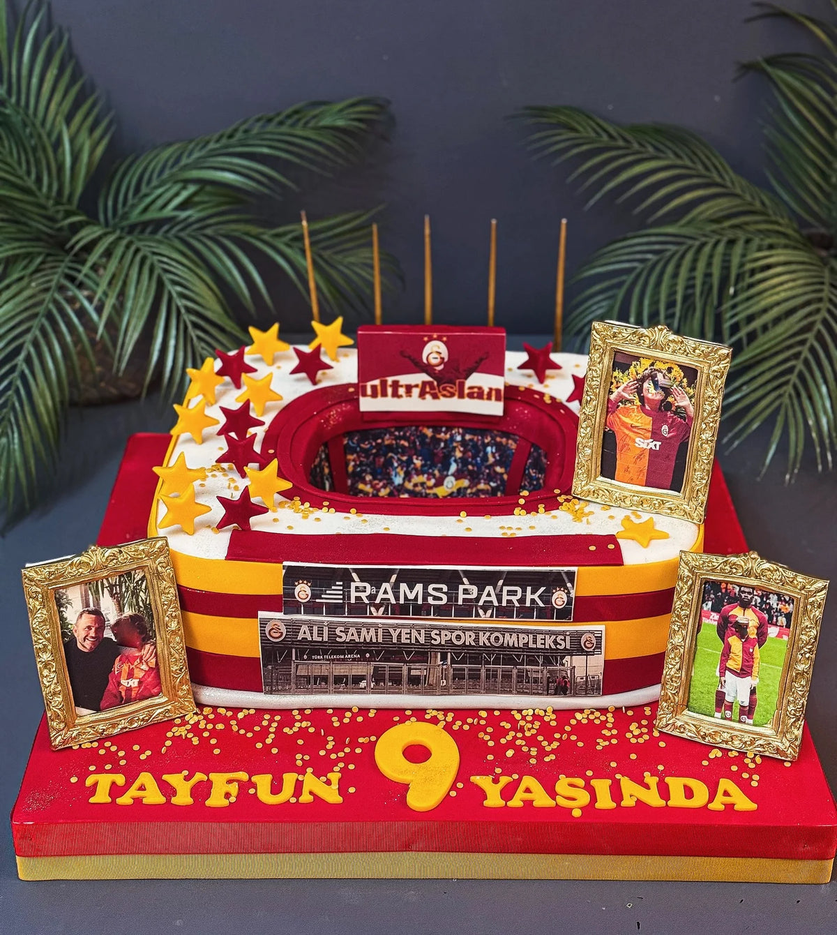 Galatasaray Stadyumu Şeklinde 9 Yaş Pastası