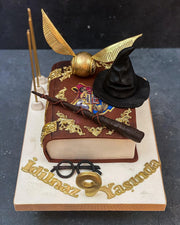 Harry Potter Kitapları ve Asa Temalı Pasta