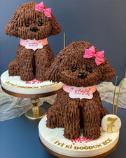 Pembe Fiyonklu İkili Köpek Pasta Tasarımı