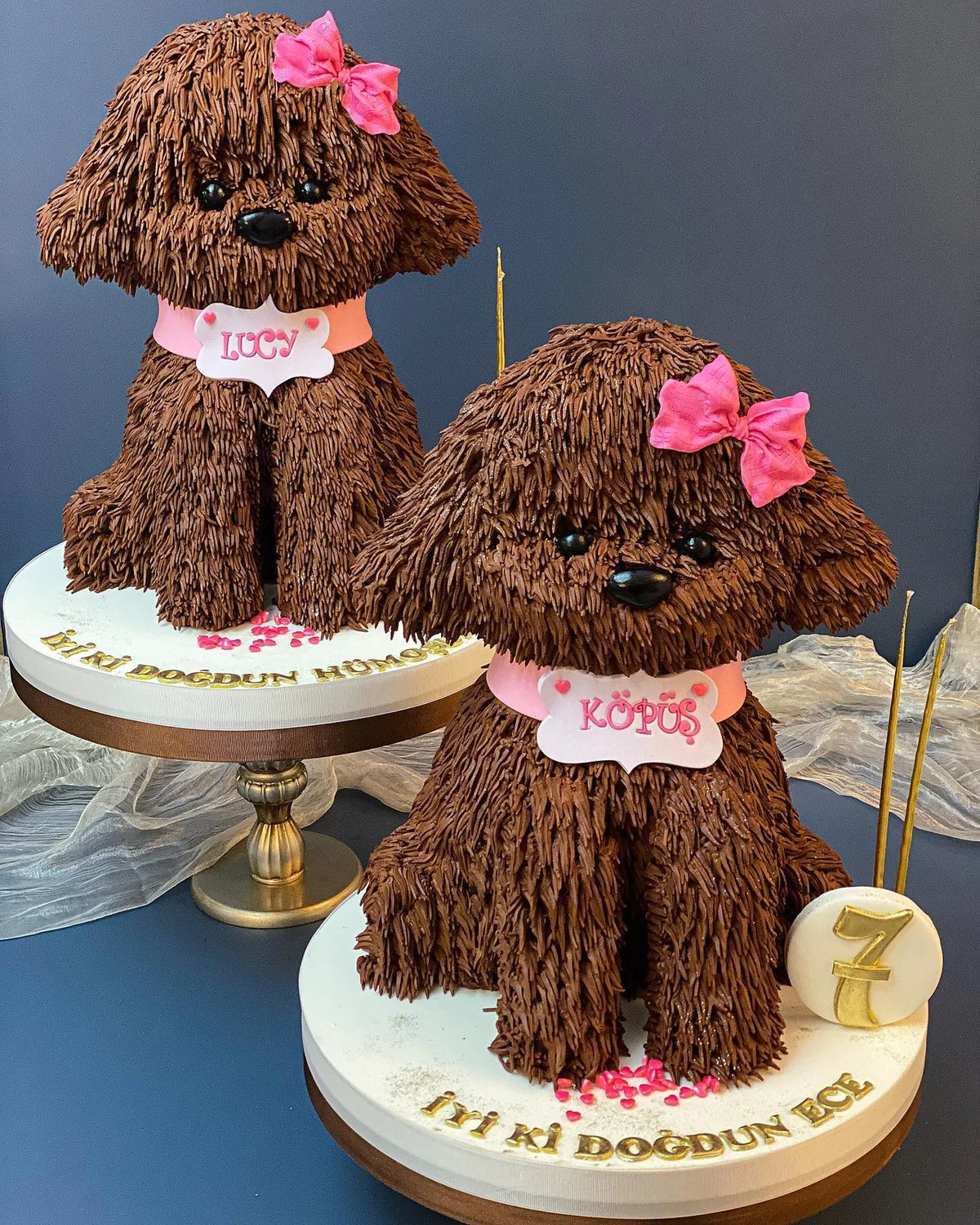 Pembe Fiyonklu İkili Köpek Pasta Tasarımı