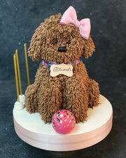 Pembe Fiyonklu Oturan Köpek Pastası